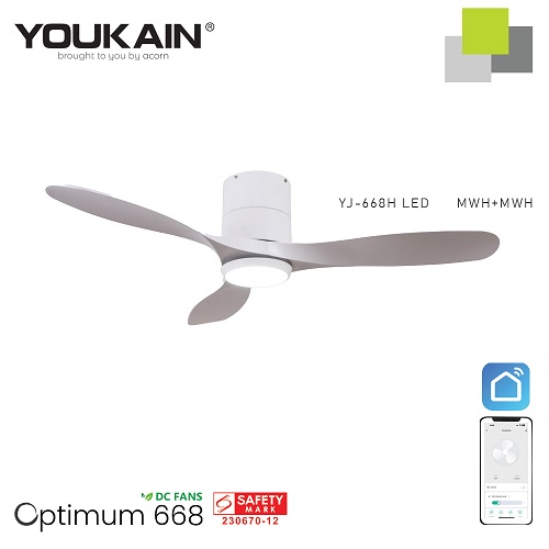 youkain white ceiling fan light
