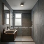 Gun Metal Surface Mount LED Downlight in HDB toilet