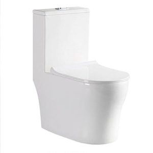 Aalto AL8090 white one piece toilet bowl with Double Vortex flushing and Geberit system.