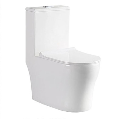 Aalto AL8090 white one piece toilet bowl with Double Vortex flushing and Geberit system.