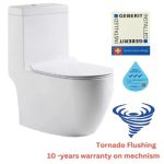 Baron W898 toilet features showing 3-tick water efficiency, Tornado flushing, Geberit technology, and 10-year warranty.
