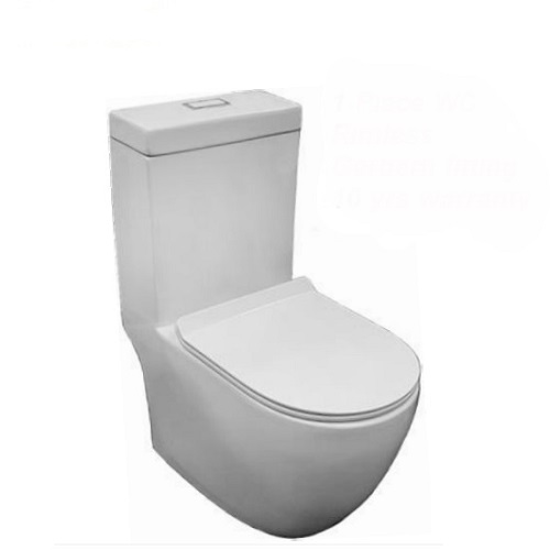 Baron W818 rimless wash down one piece rimless toilet bowl water closet.