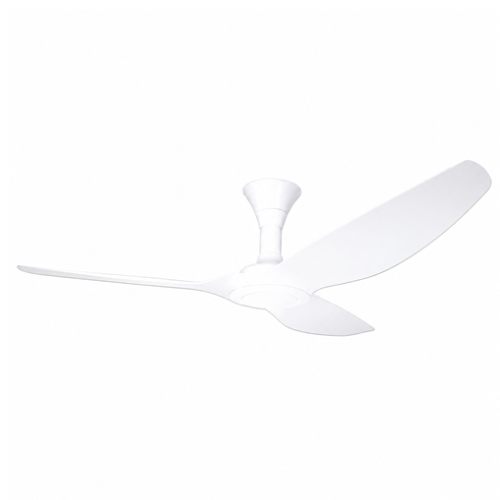 Point One Typhoon IV RS designer white ceiling fan showing models with and without integrated light kits.