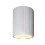 White Surface Mounted Downlight Cylinder Fixture