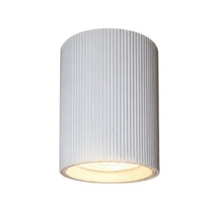 White Surface Mounted Downlight Cylinder Fixture