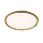 Jupiter slim wood flush ceiling light in oak wood finish